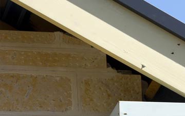 soffit repair Blagill